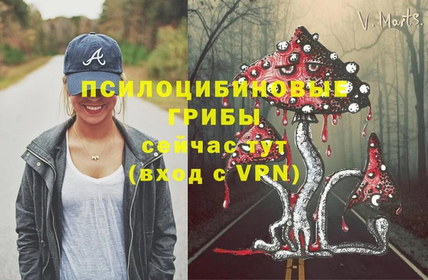 mix Богородск