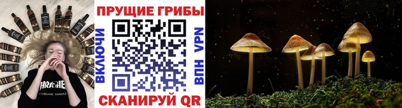 что такое наркотик Оренбург Галлюциногенные грибы MAGIC MUSHROOMS